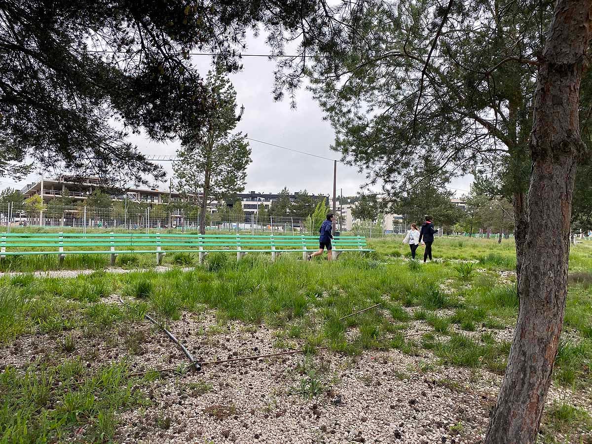 Primer día permitido para salir a pasear y hacer deporte.