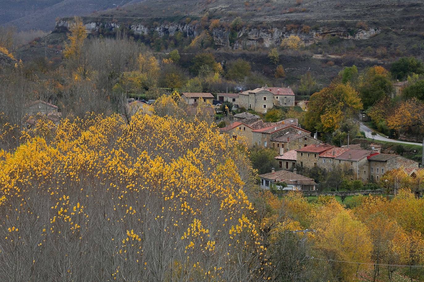 Vista de Sedano.