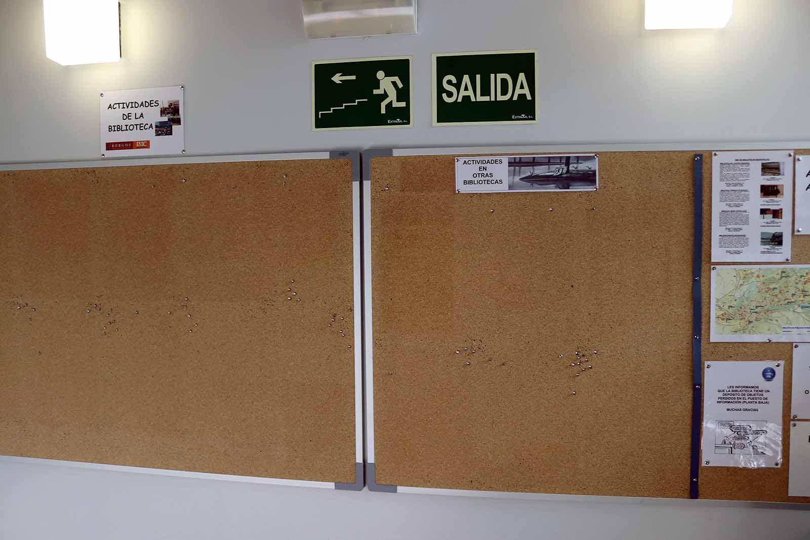 Fotos: Las bibliotecas se preparan para retomar la actividad