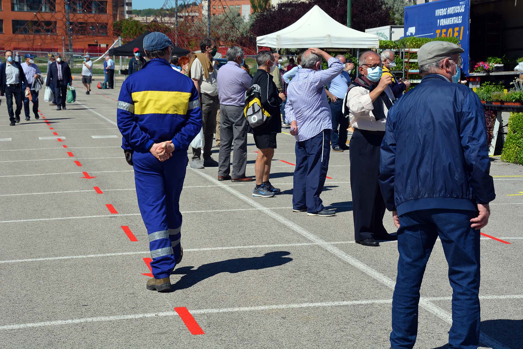 Fotos: Vuelve el mercado de Los Carros