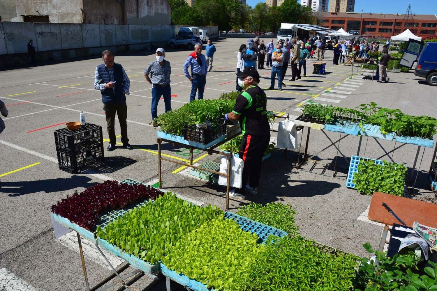 Fotos: Vuelve el mercado de Los Carros