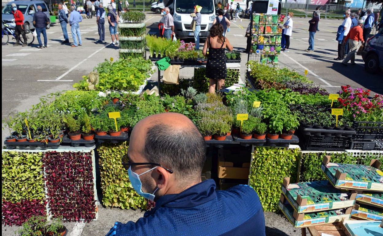 Clientes y vendedores estaban expectantes por el regreso del mercado. 