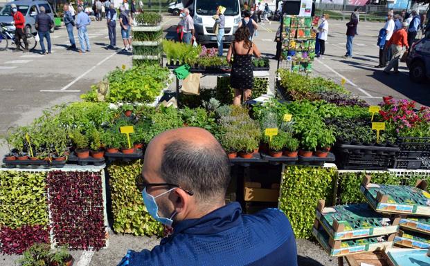 Vuelve el mercado de Los Carros