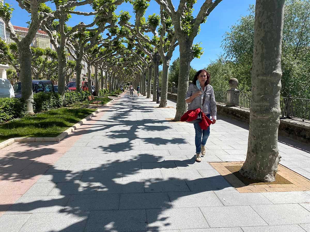 Fotos: Desfile de mascarillas en las calles de Burgos