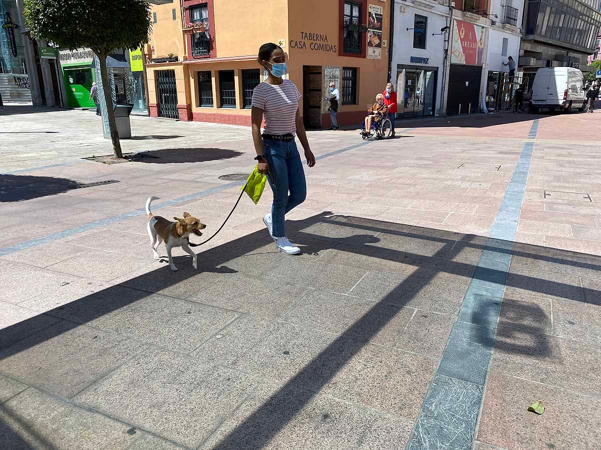 Fotos: Desfile de mascarillas en las calles de Burgos