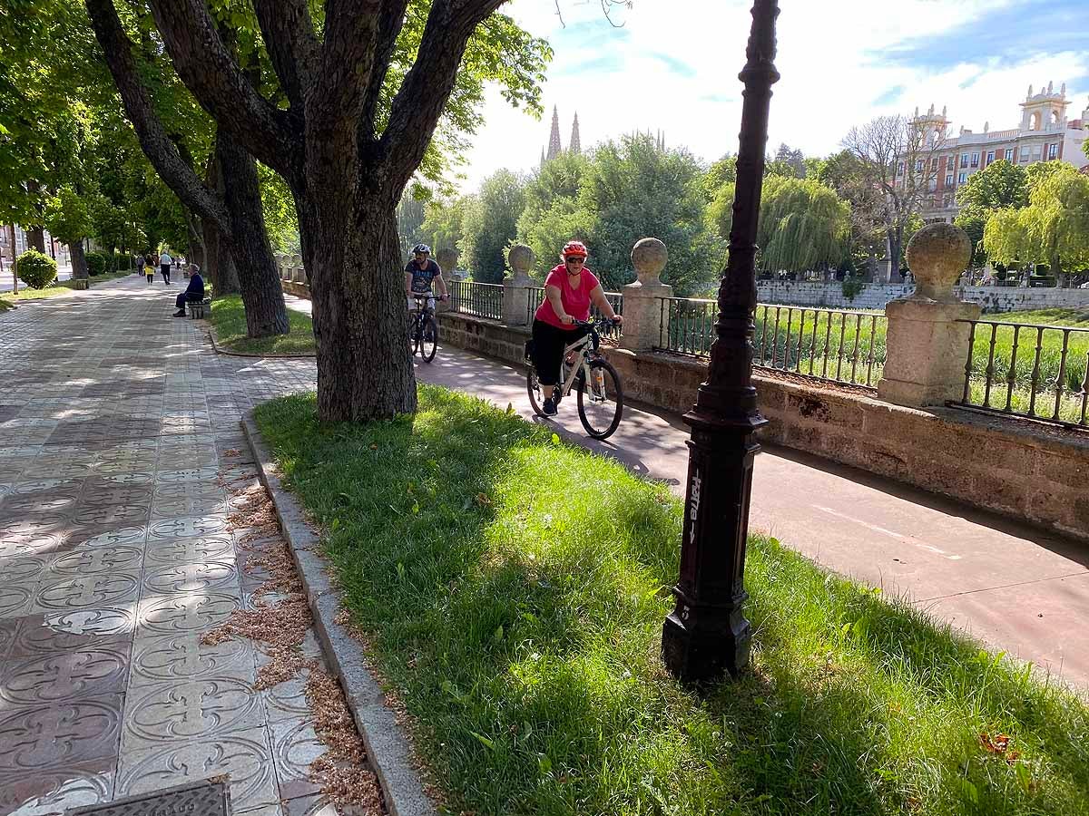 Fotos: Burgos se prepara para la fase 1