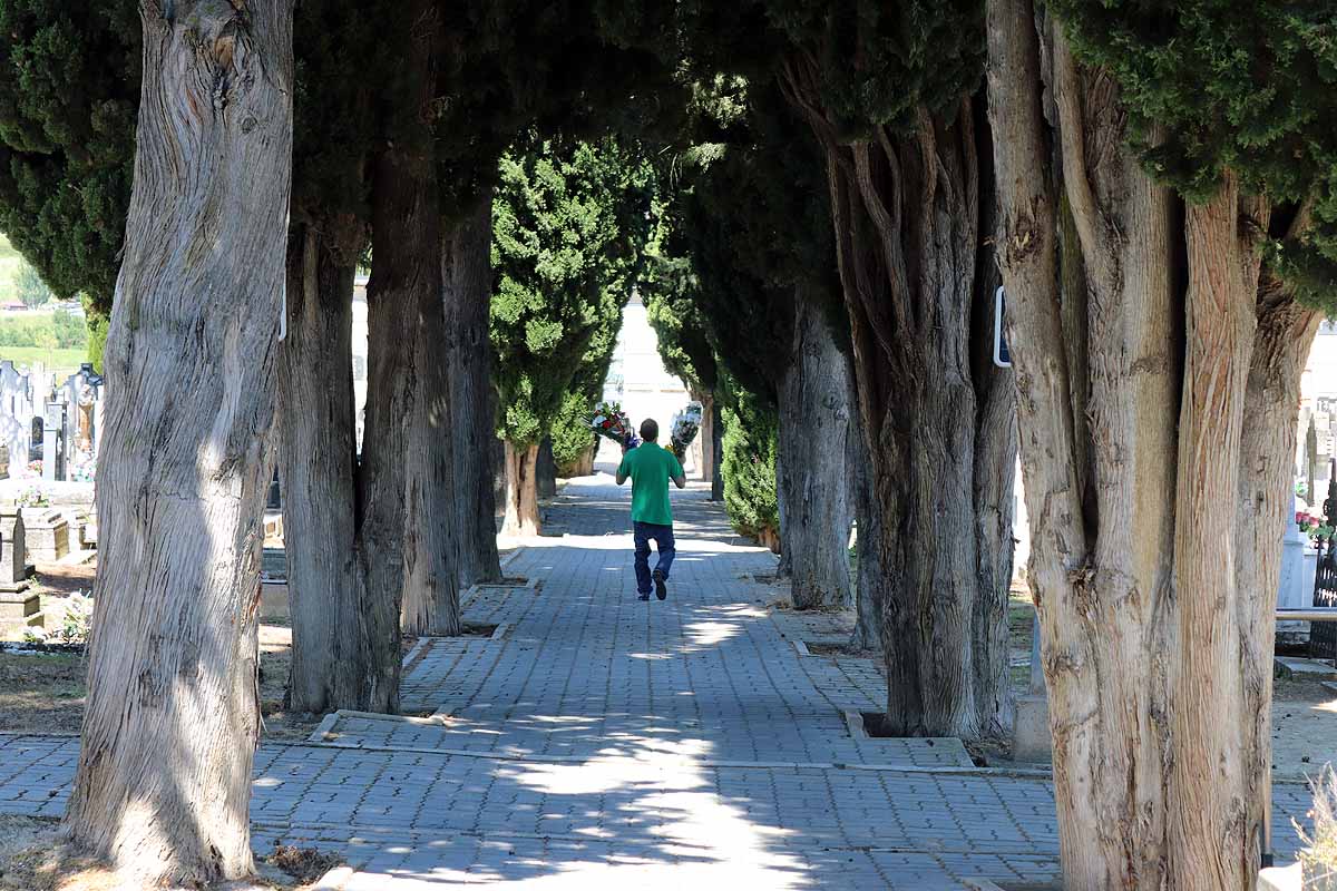 Las flores y los sentimientos regresan al cementerio San José de Burgos. 