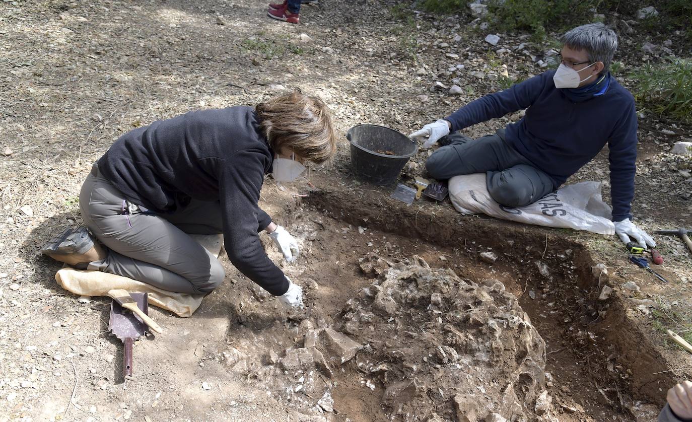 Fotos: Arranca la campaña de excavaciones en los yacimientos de Atapuerca