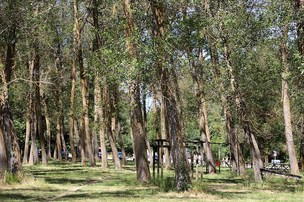 Fotos: Fuentes Blancas, como un domingo de verano cualquier el día del Burgalés Ausente