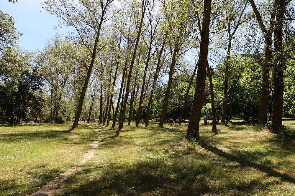 Fotos: Fuentes Blancas, como un domingo de verano cualquier el día del Burgalés Ausente