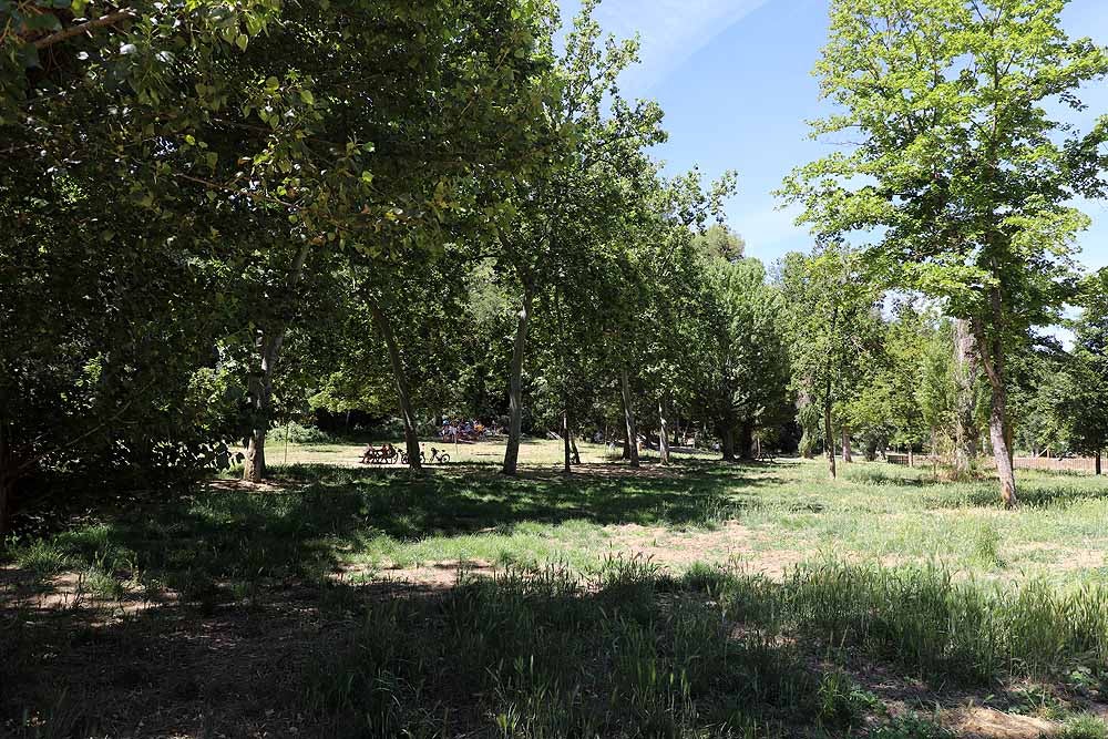 Fotos: Fuentes Blancas, como un domingo de verano cualquier el día del Burgalés Ausente