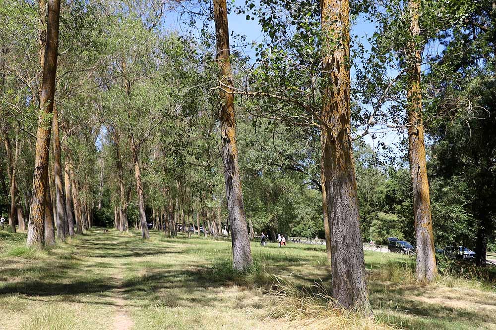 Fotos: Fuentes Blancas, como un domingo de verano cualquier el día del Burgalés Ausente