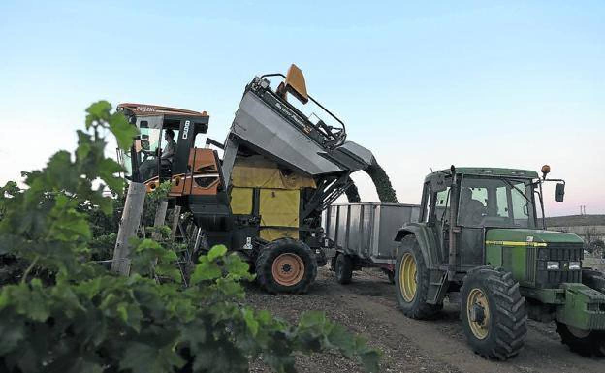 Economía: Las exportaciones agroalimentarias de Burgos suben un 5% este año