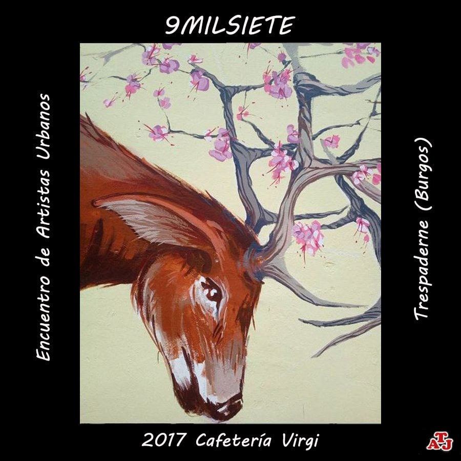 Fotos: Los murales embellecen las calles de Trespaderne