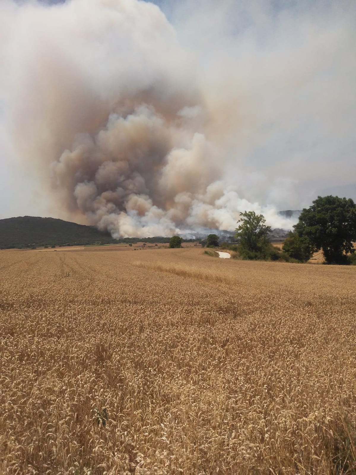 Fotos: Incendio en Junta de Traslaloma