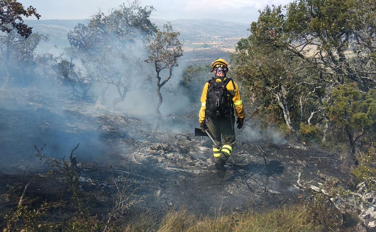 Imagen de la intervención de la BRIF de Lubia (Soria).