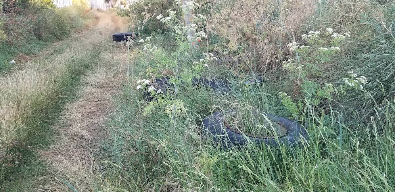 Fotos: Las escombreras y vertederos ilegales en Burgos siguen proliferando a niveles de años anteriores