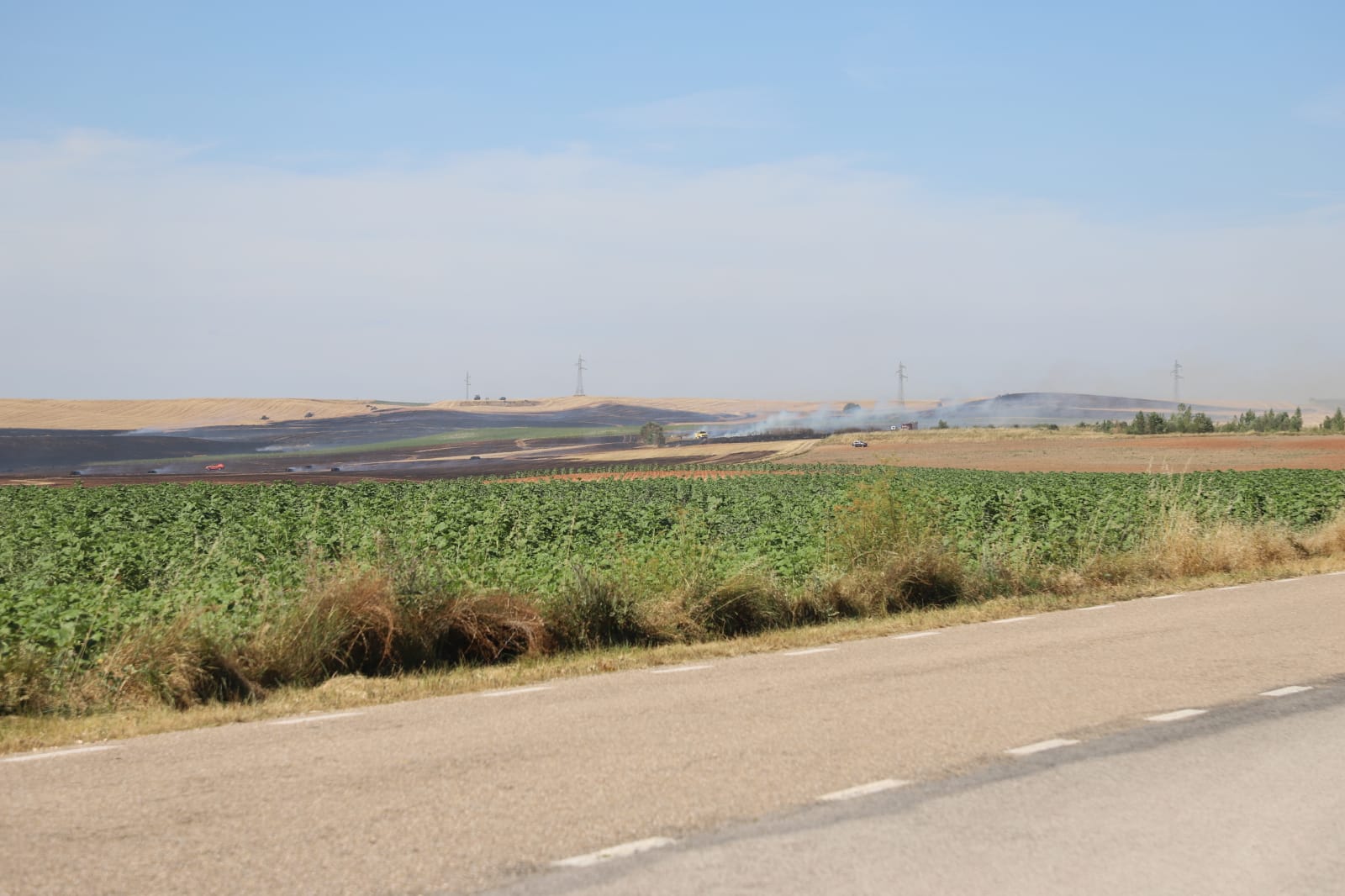 Fotos: Las llamas devoran una gran zona de terreno agrícola entre Arcos y Villangómez