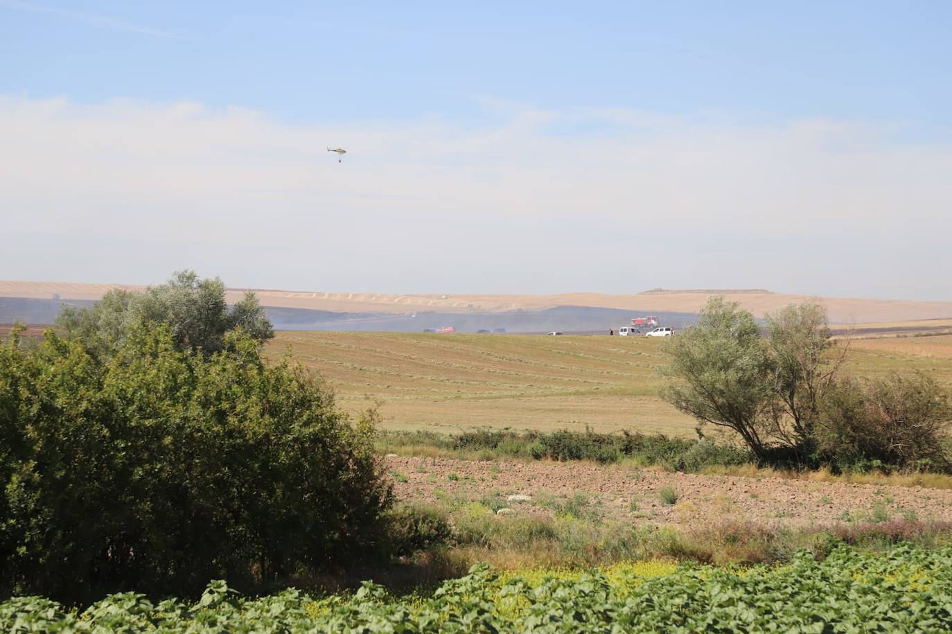 Fotos: Las llamas devoran una gran zona de terreno agrícola entre Arcos y Villangómez