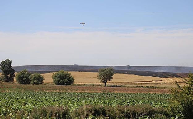 Dos fuegos han calcinado más de 70 hectáreas entre Villangómez y Arcos de la Llana