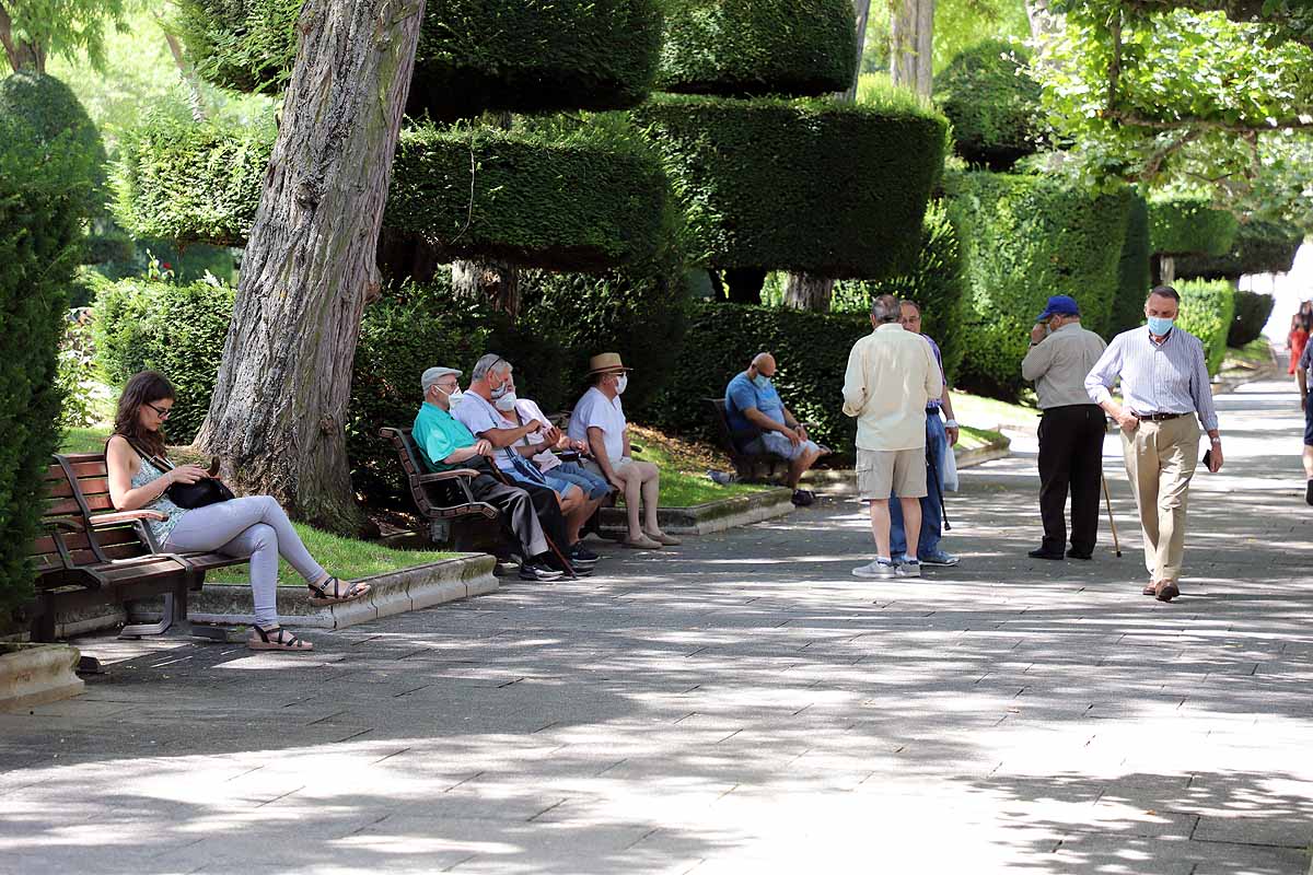 Fotos: La codiciada sombra en Burgos