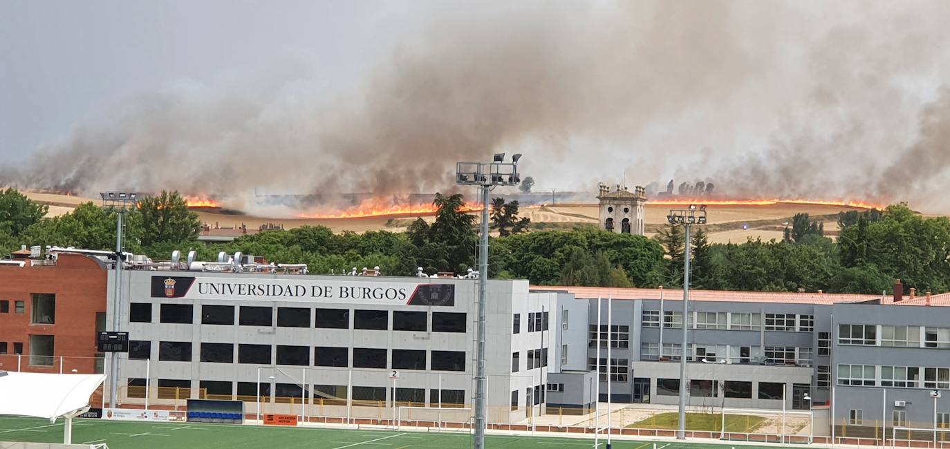 Fotos: Un incendio en Villagonzalo-Pedernales activa las alarmas en Burgos