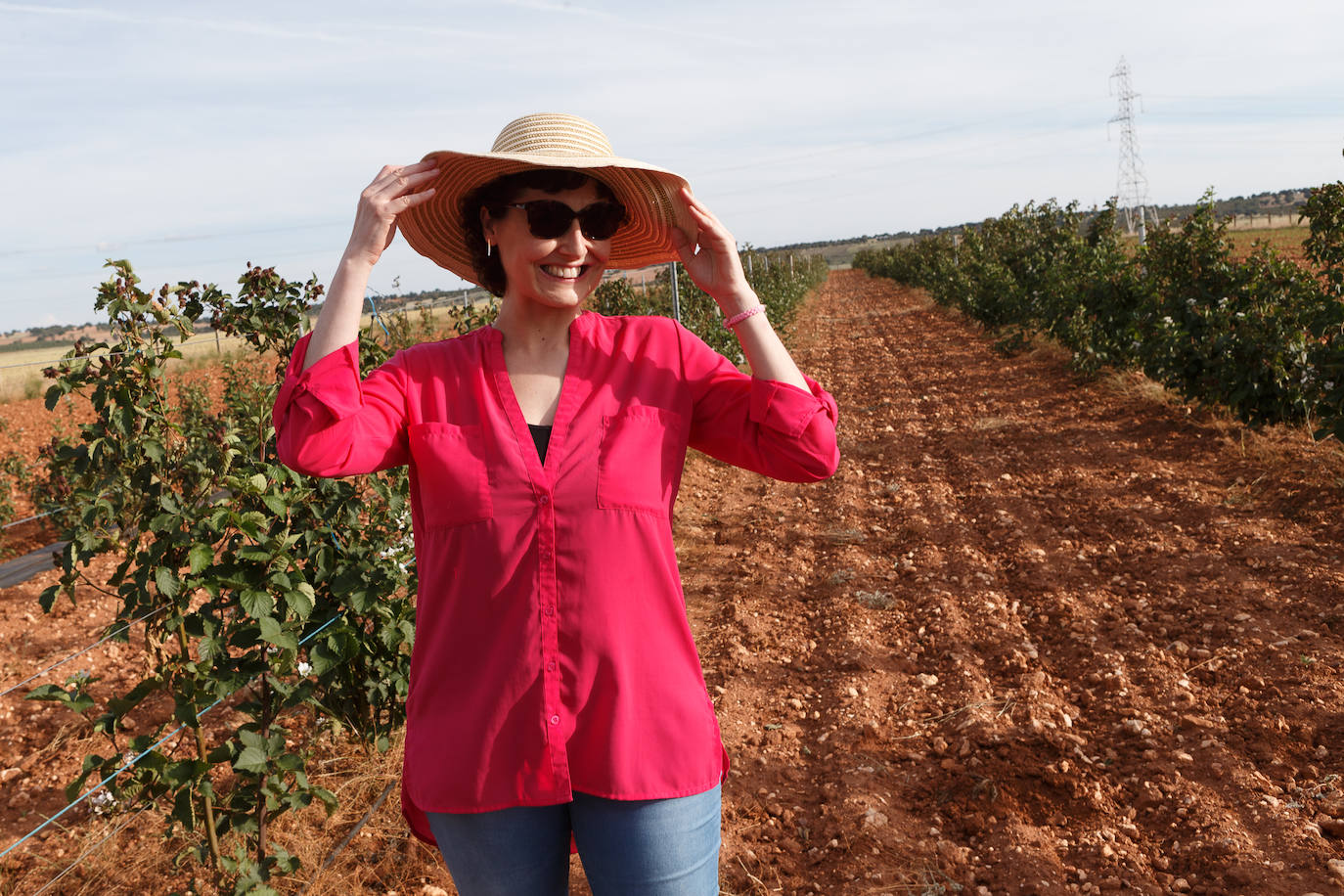 Fotos: Castilla y León se suma al cultivo de los frutos rojos