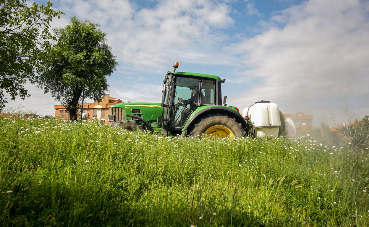 Tractor trabajando en un campo. 