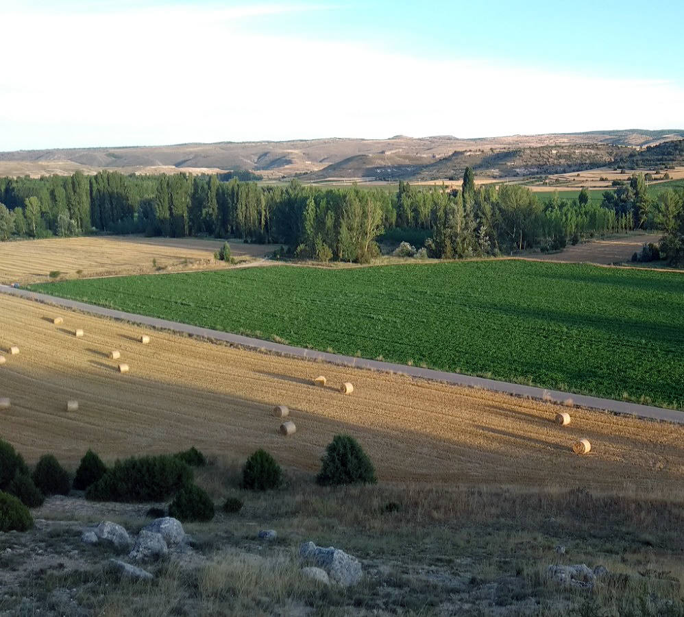 Imagen secundaria 1 - Los paisajes de Milagros y la vega del río Riaza son fundamentales para Rufo Criado. 