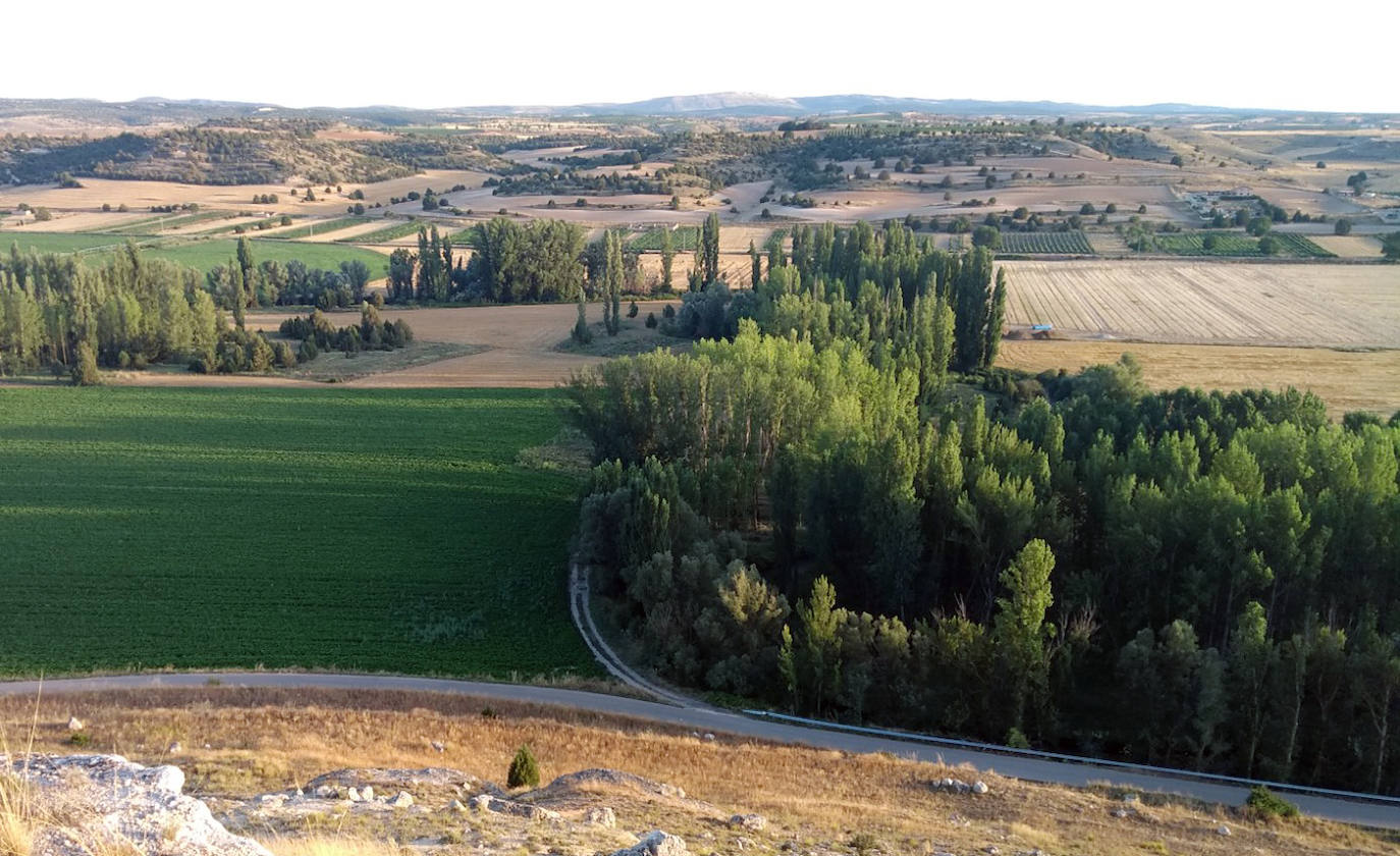 Imagen principal - Los paisajes de Milagros y la vega del río Riaza son fundamentales para Rufo Criado. 