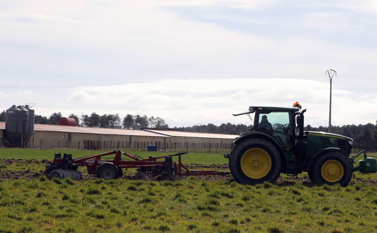 Un agricultor faenando en una tierra de Segovia. 