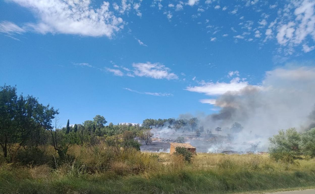 Incendio forestal en Sotillo de la Ribera. 