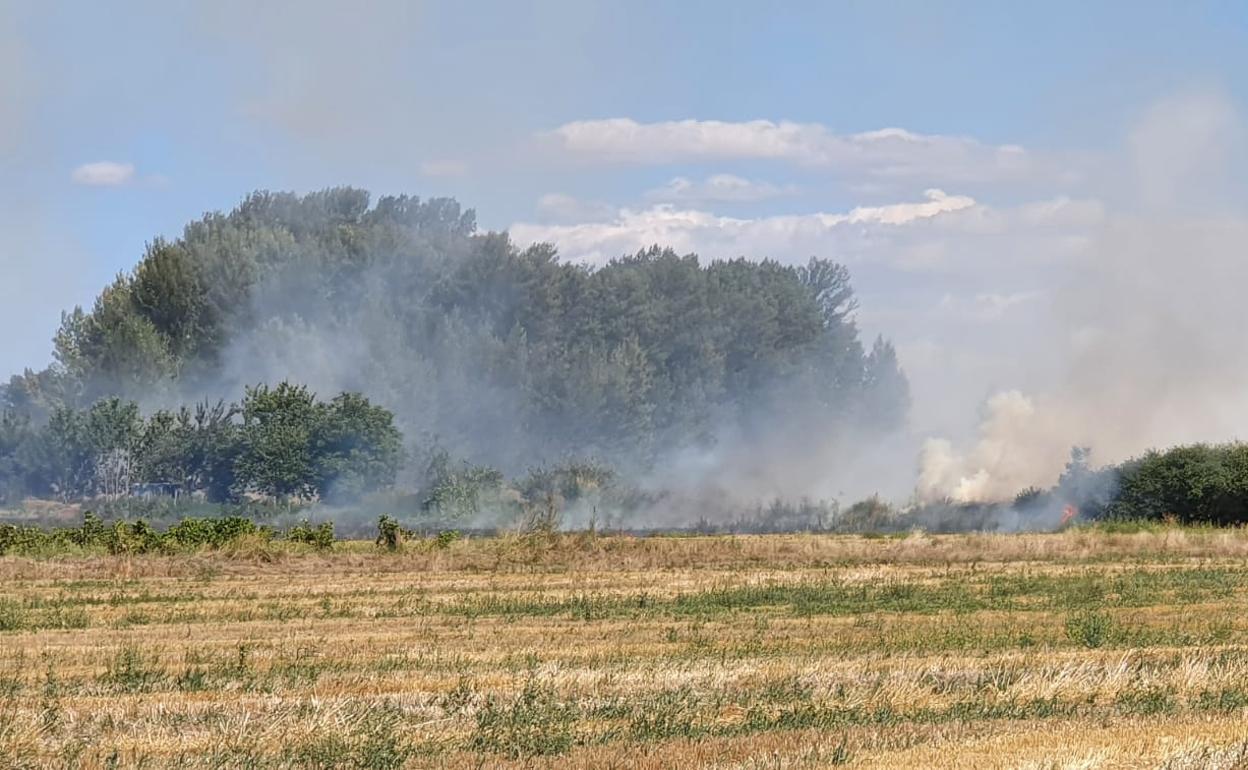 El incendio tuvo numerosos focos a lo largo de la vía del tren.