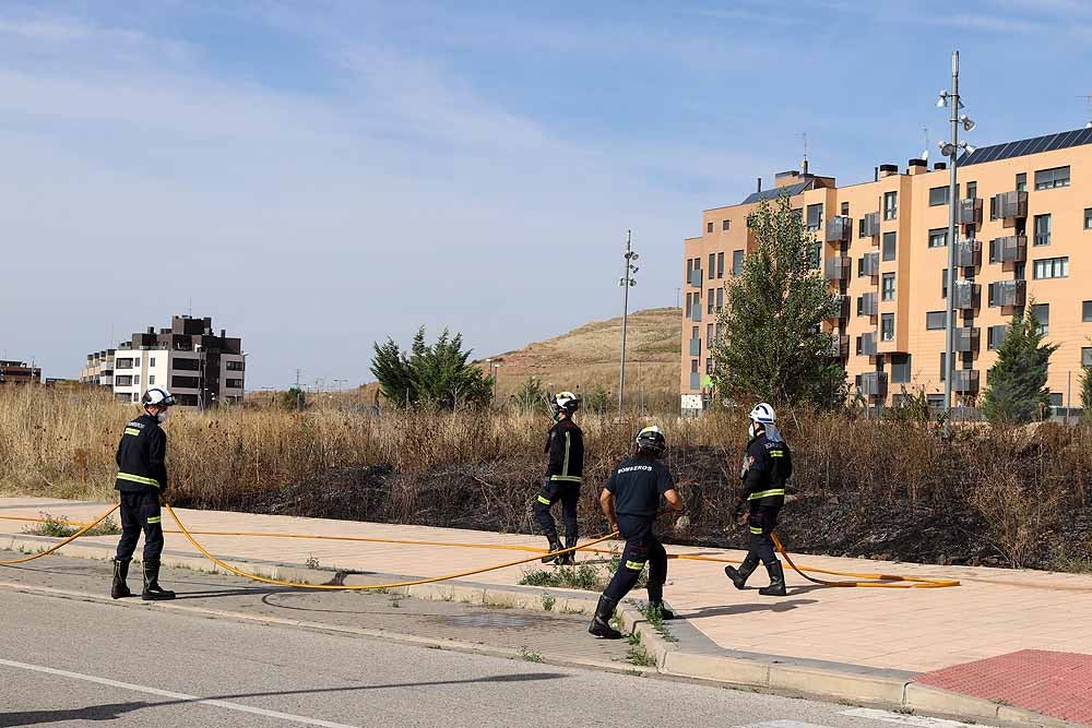 Fotos: Incendio de maleza en Fuentecillas