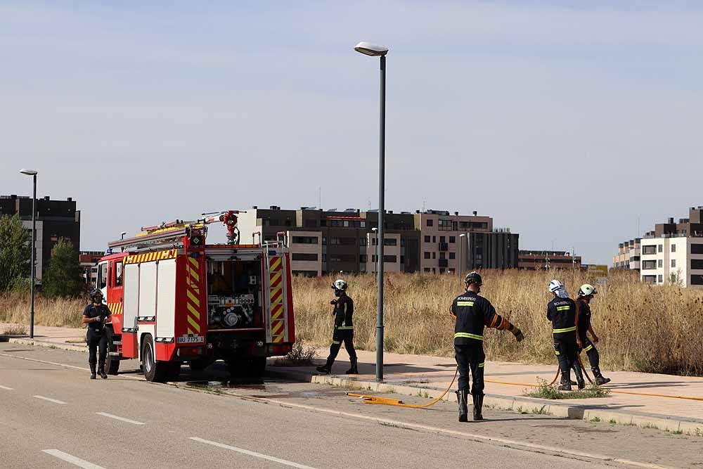 Fotos: Incendio de maleza en Fuentecillas