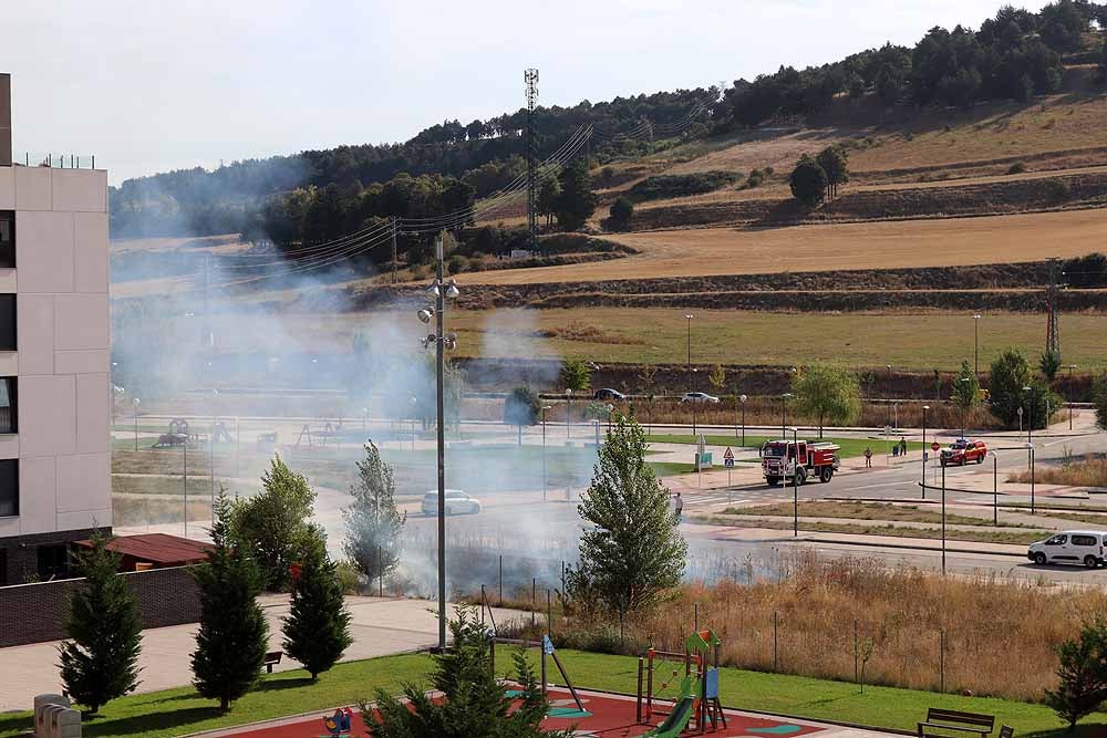 Fotos: Incendio de maleza en Fuentecillas