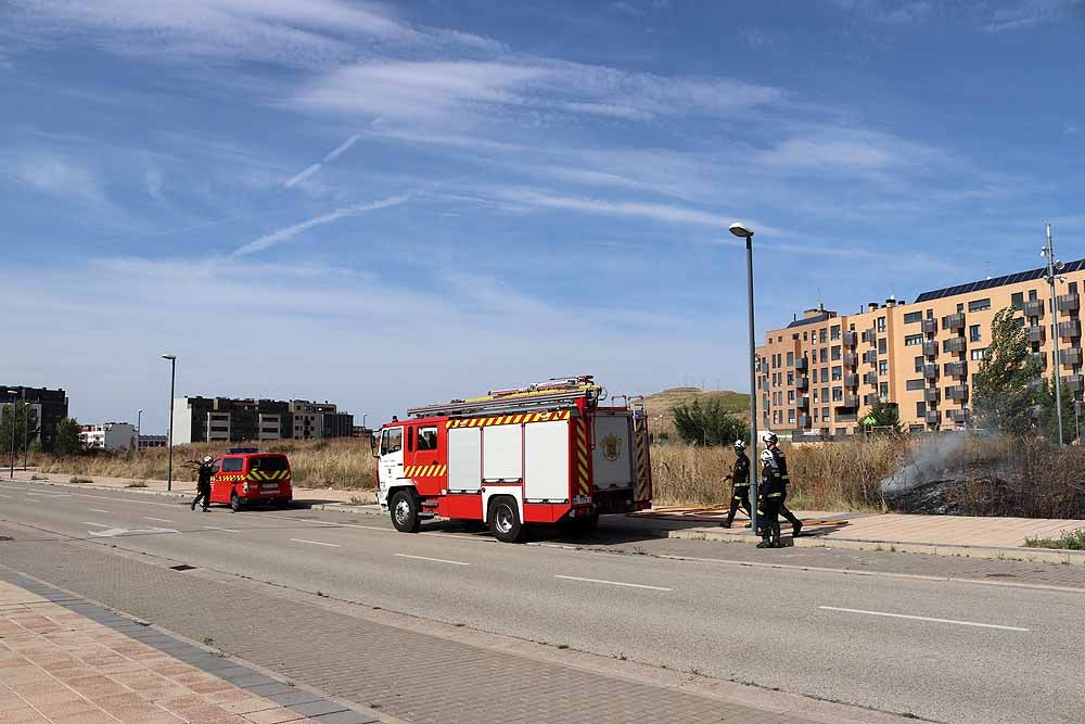 Fotos: Incendio de maleza en Fuentecillas