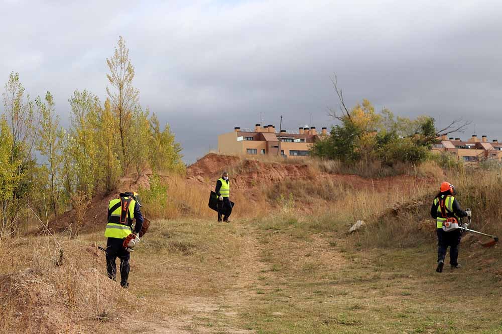 Fotos: Las brigadas del Plan de Empleo estarán limpiando y adecentando Burgos hasta febrero