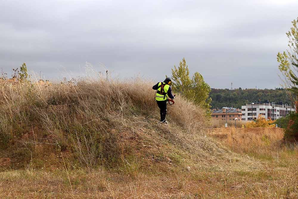 Fotos: Las brigadas del Plan de Empleo estarán limpiando y adecentando Burgos hasta febrero