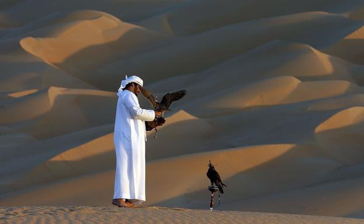 Halconero en Emiratos Árabes.