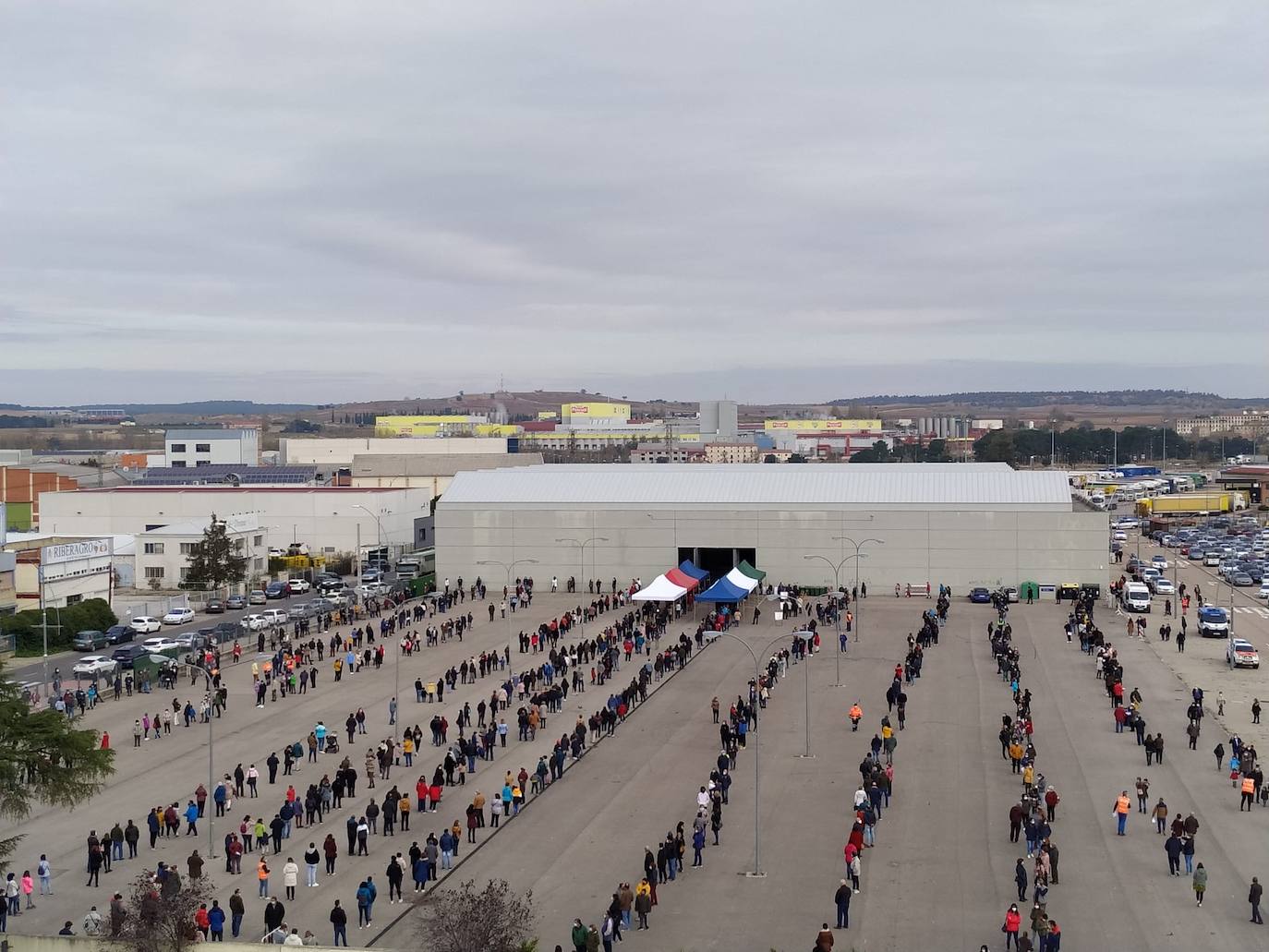 Colas a la entrada del recinto ferial de Aranda donde se realizan los test masivos de detección de la covid-19. 