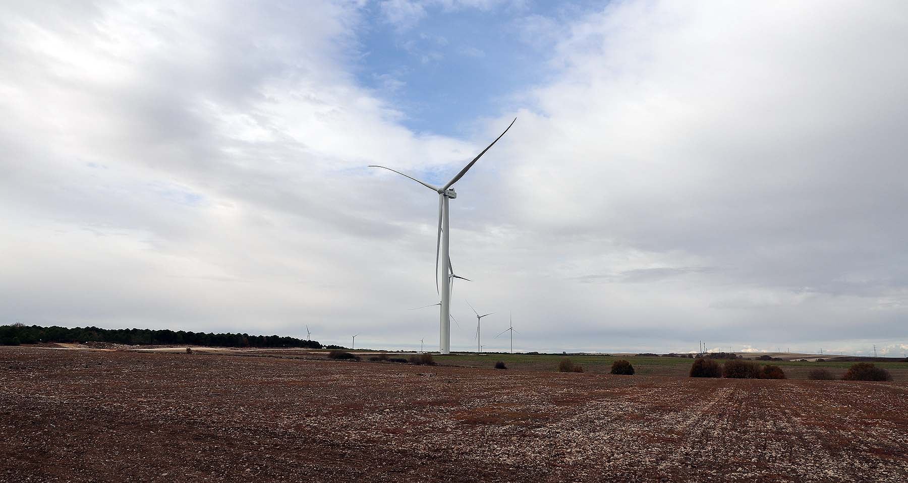 Fotos: Los aerogeneradores s más potentes de España ya miran al cielo burgalés