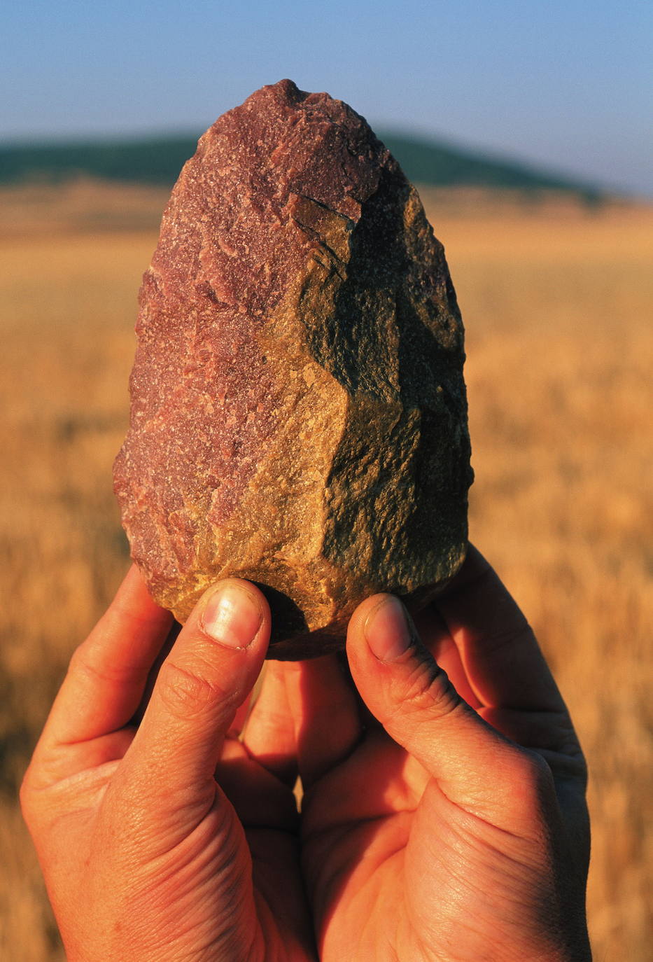 'Excalibur'. Un hacha tallada en cuarcita rojiza hallada en la Sima de los Huesos. Bautizada con el nombre de ‘Excalibur’, en homenaje a la espada mágica del rey Arturo, fue encontrada durante la campaña de excavaciones de 1998, pero no fue presentada hasta el año 2003. Se había convertido en el secreto mejor guardado de Atapuerca.