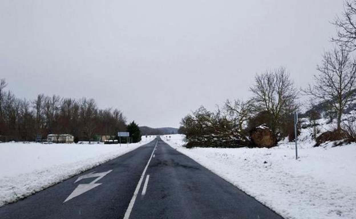 Imagen de archivo de una nevada en la provincia en 2018. 