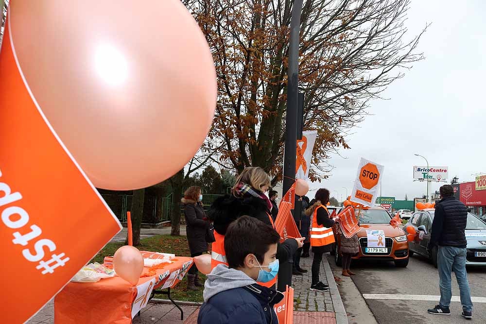 Fotos: Una caravana de coches contra la Ley Celaá recorre las calles de Burgos