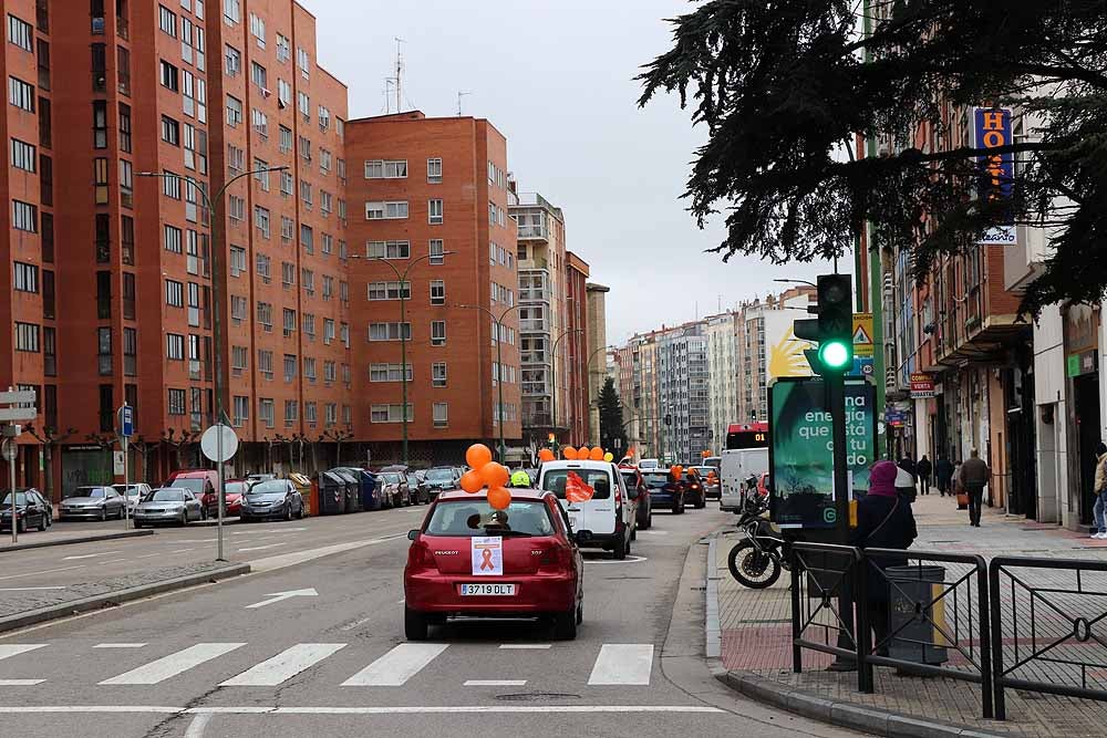 Fotos: Una caravana de coches contra la Ley Celaá recorre las calles de Burgos