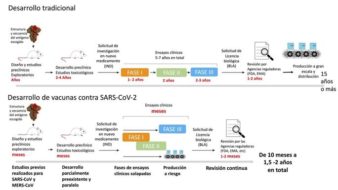 Esquema del proceso de desarrollo de vacunas anteriores y posteriores a la pandemia por COVID-19. Adaptado y traducido de Krammer (Nature, 2020) por Mercedes Jiménez.