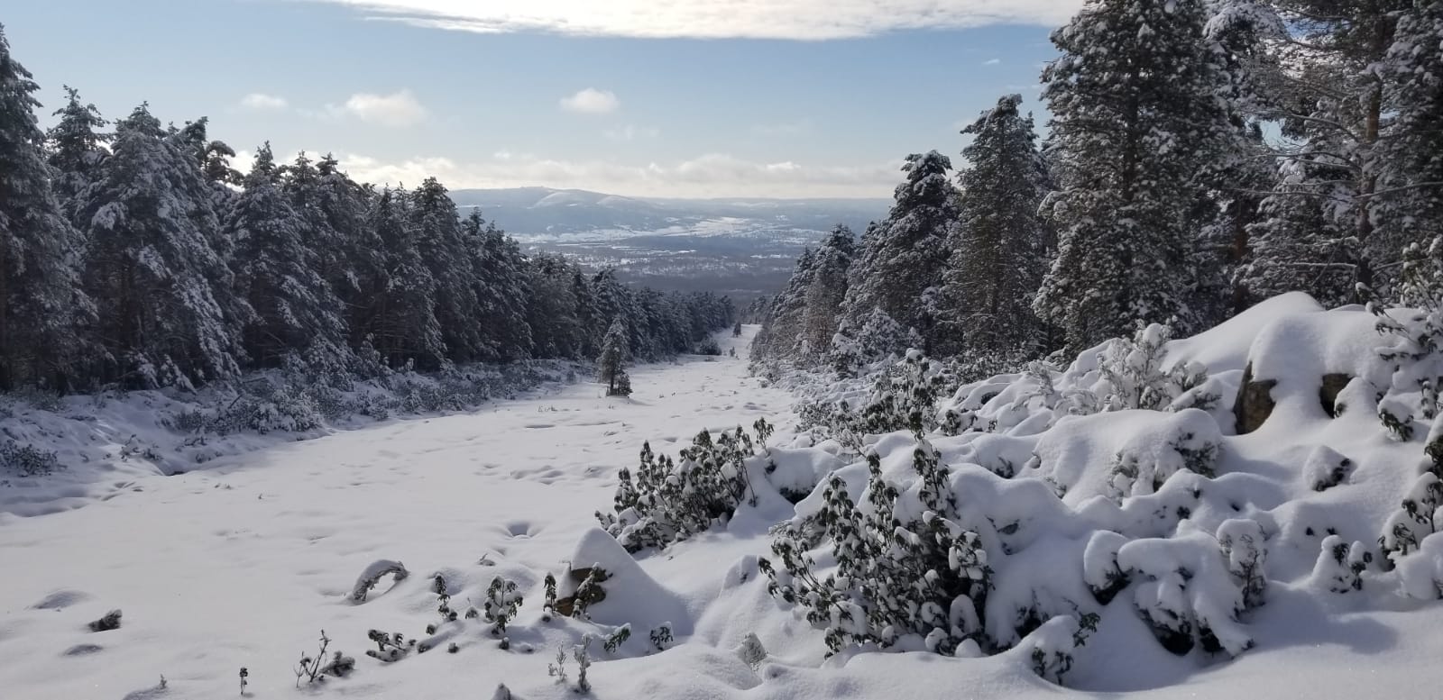 Vistas de Palacios de la Sierra con acumulación de 40 centímetros de nieve