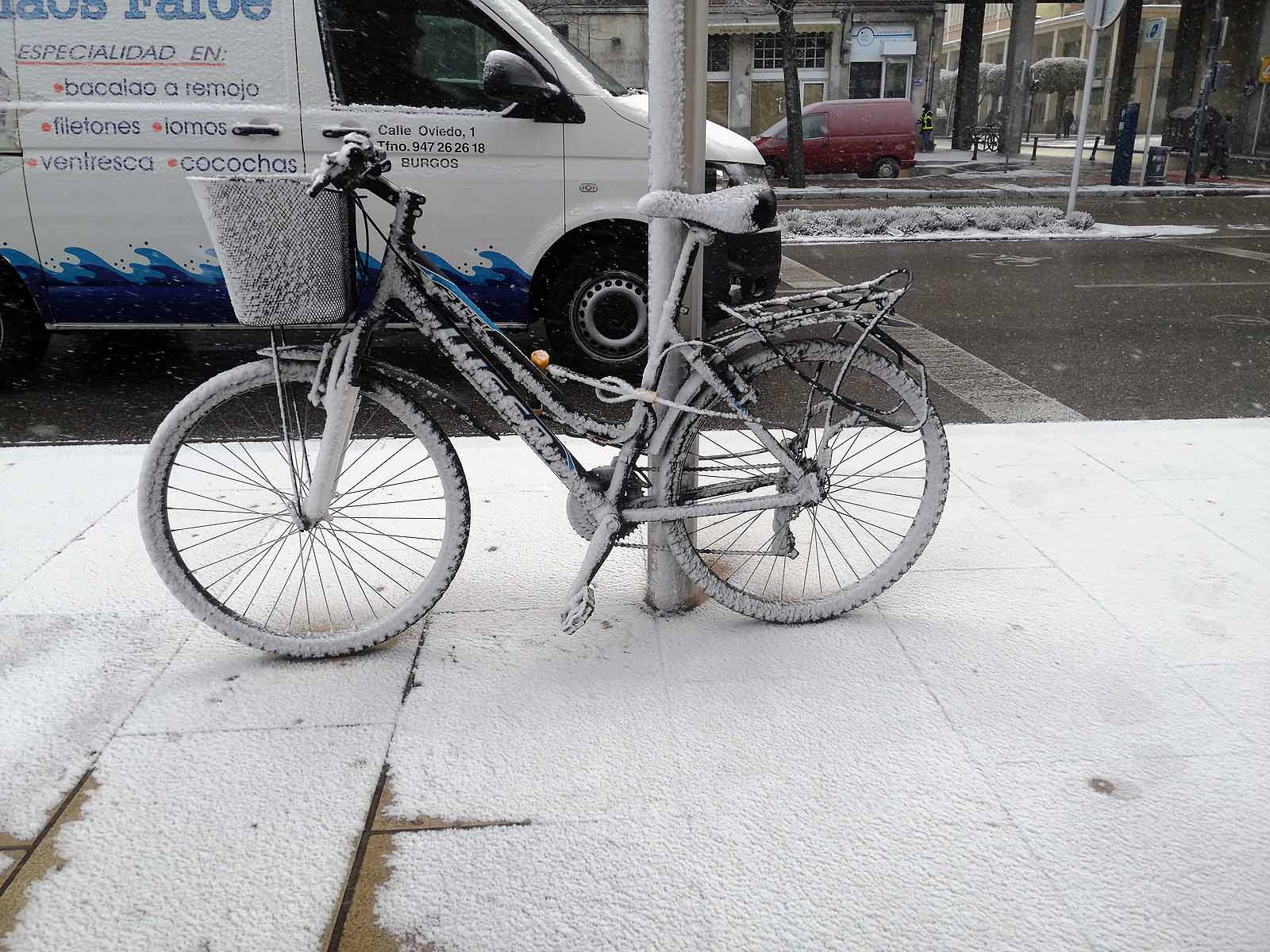 Fotos: La nieve cubre el centro de la ciudad