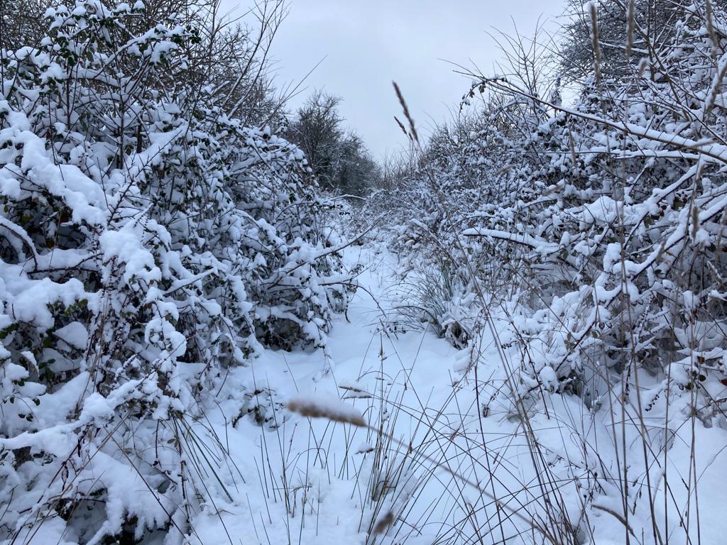 La nieve está dejando estampas espectaculares en la provincia, como esta de Extramiana. 